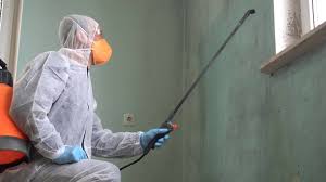 Best Residential Mold Inspection & Testing  in South Coatesville, PA