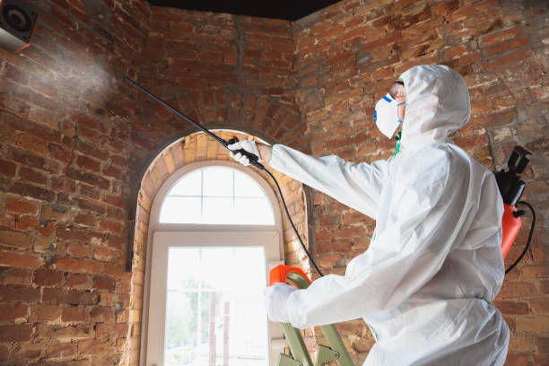 Best Mold Odor Removal Services  in South Coatesville, PA