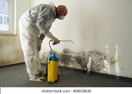 Best Mold Prevention Services  in South Coatesville, PA